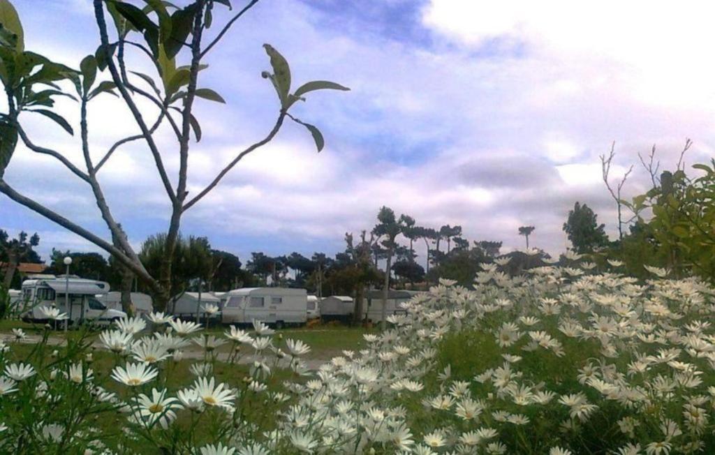 Parque De Campismo De Fao Otel Dış mekan fotoğraf